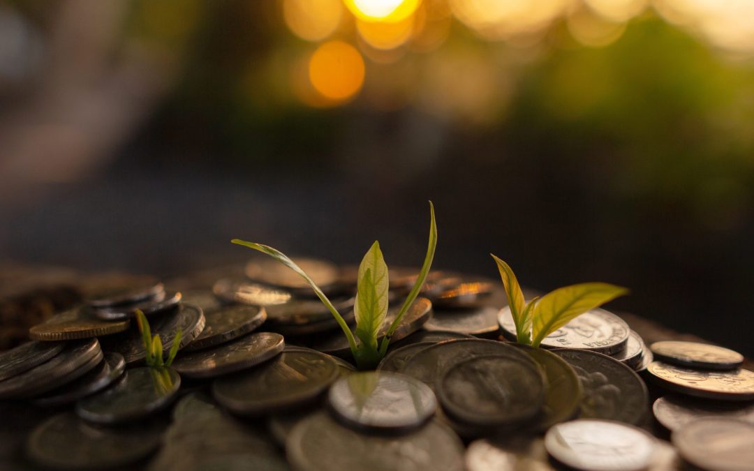 Greens sprout up from underneath a pile of coins